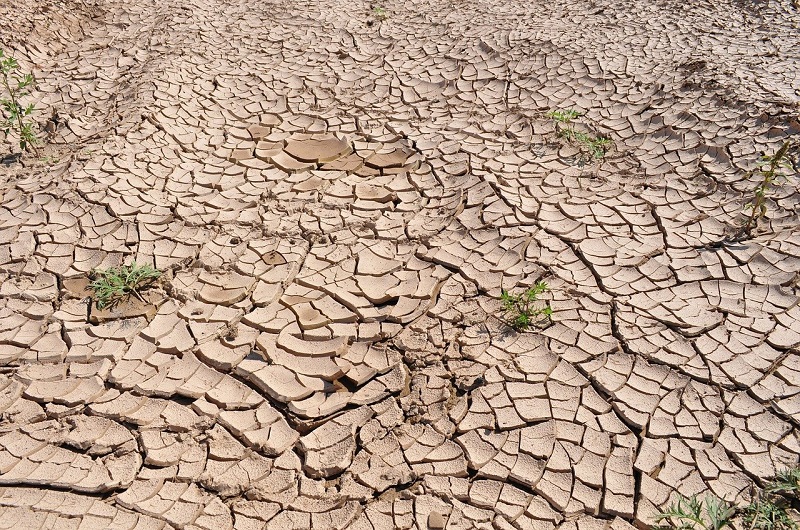 Global Warming: How it Affects Us